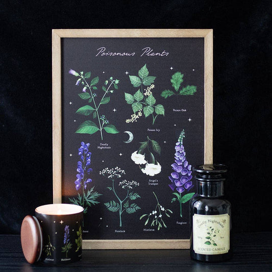 Poisonous Plants Gothic Botanical Framed Wall Art Print