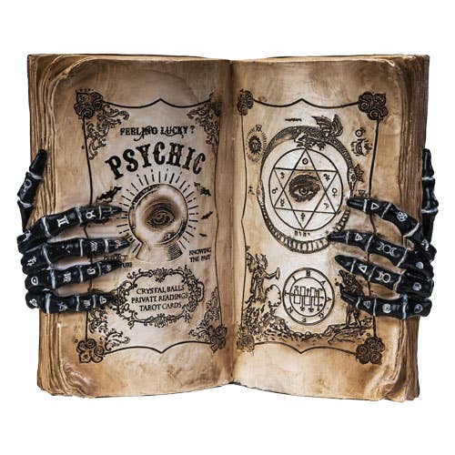 14390 Psychic Book Decoration