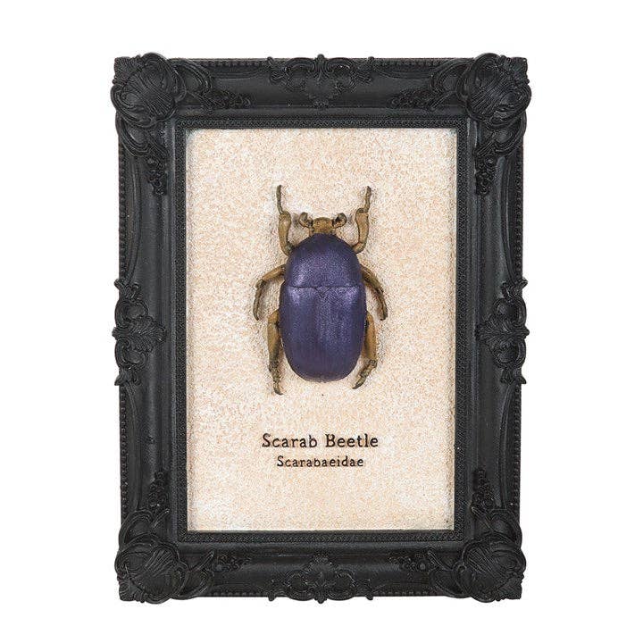 Gothic Scarab Beetle Framed 3D Wall Art