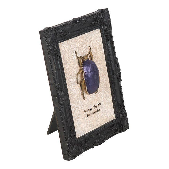 Gothic Scarab Beetle Framed 3D Wall Art