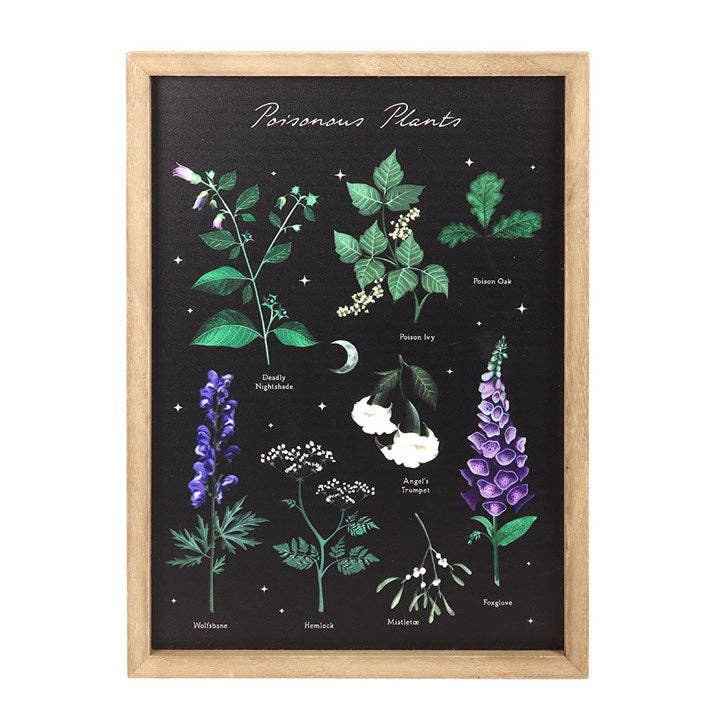 Poisonous Plants Gothic Botanical Framed Wall Art Print