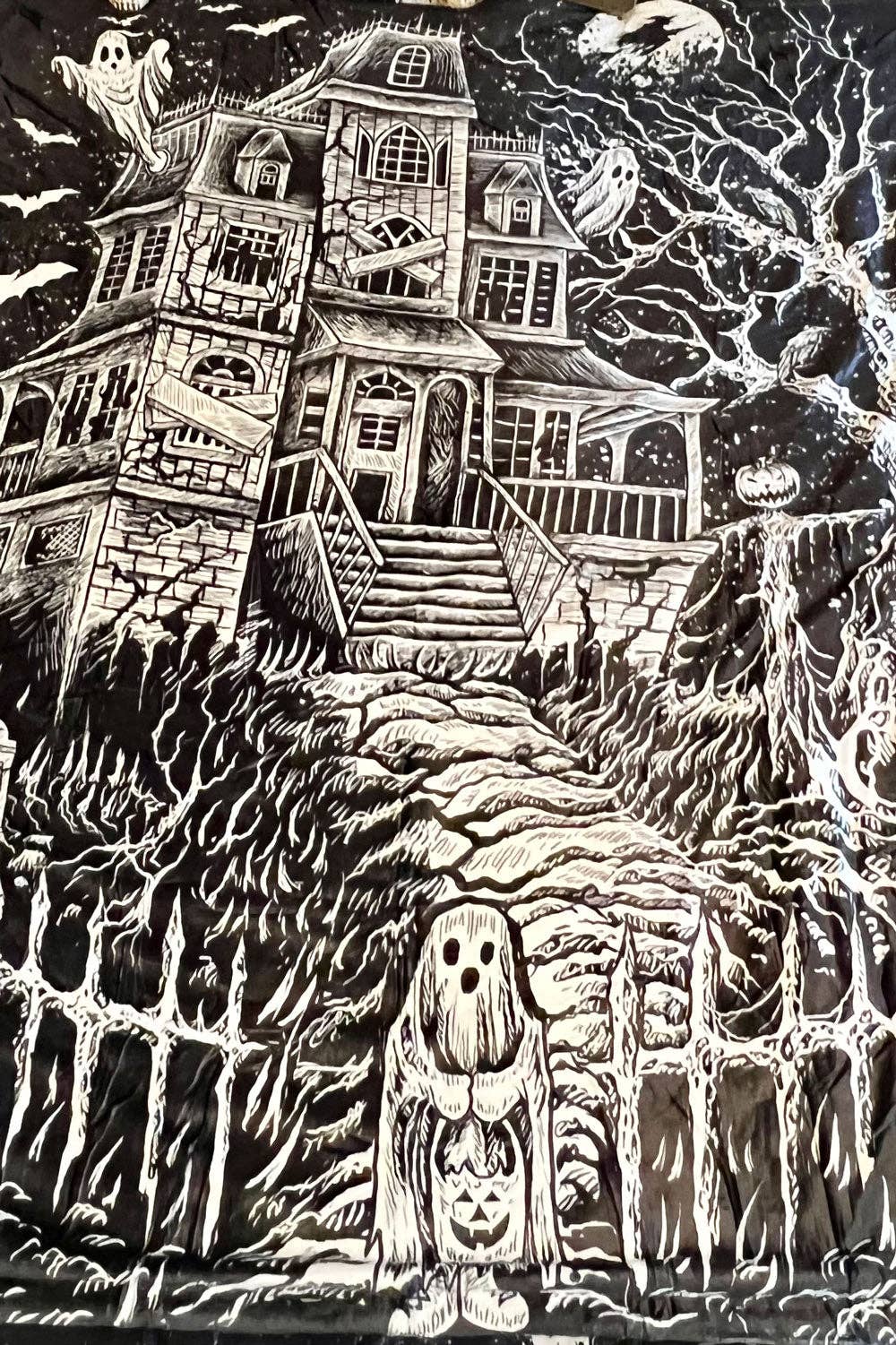 Haunted Mansion Throw Blanket