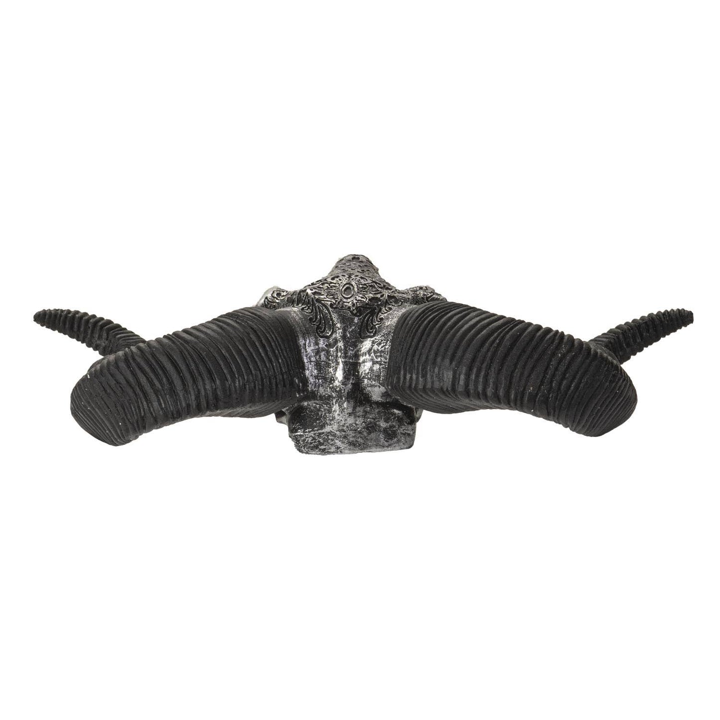 14982 Carved Silver Ram Decorative Skull