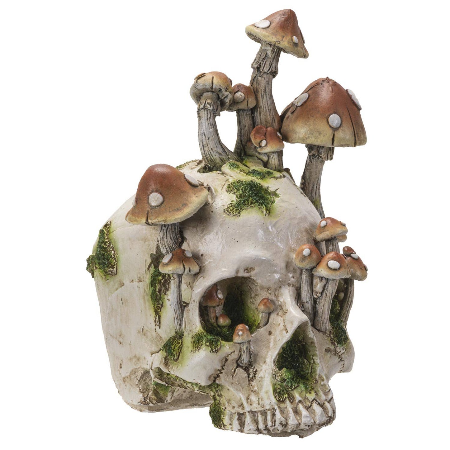 15062 Skull with Mushrooms C/4