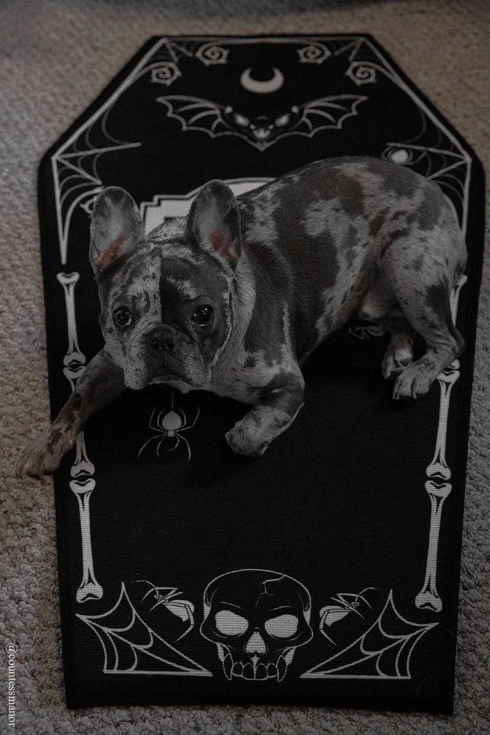 RIP Coffin Rug