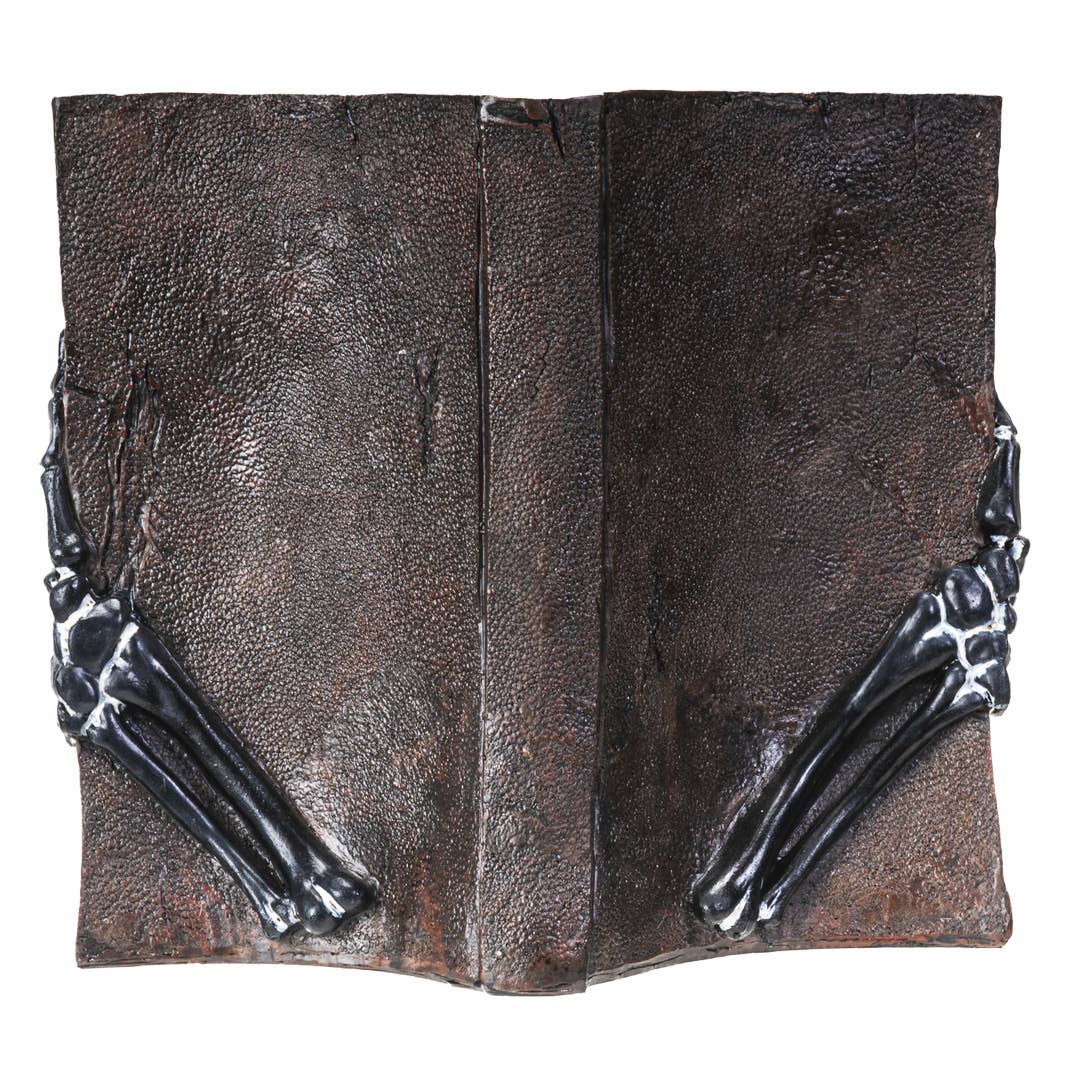 14390 Psychic Book Decoration