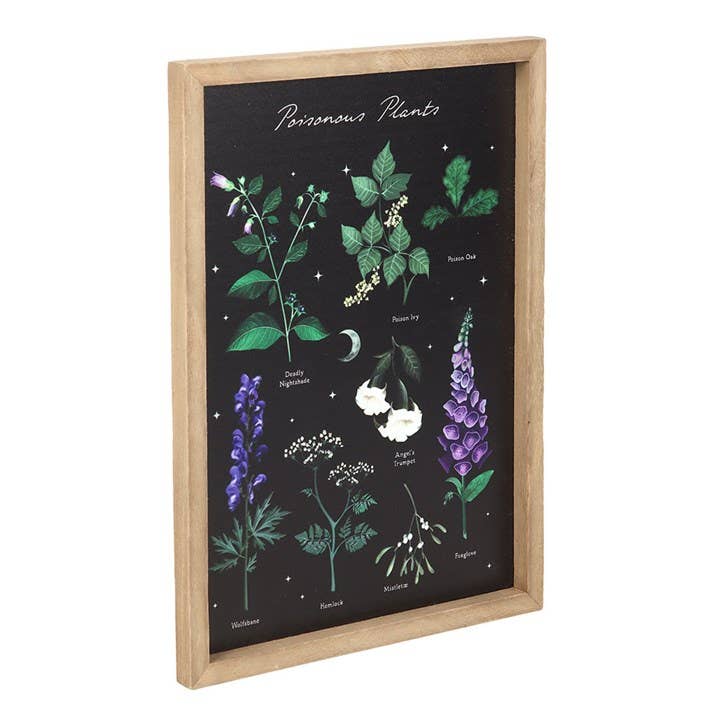 Poisonous Plants Gothic Botanical Framed Wall Art Print