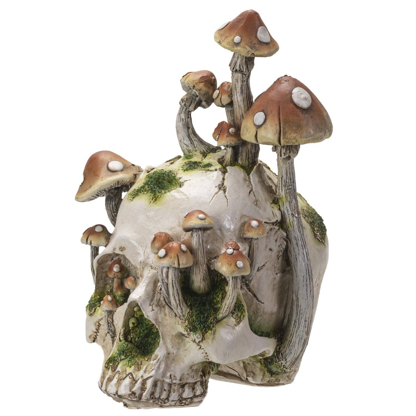 15062 Skull with Mushrooms C/4