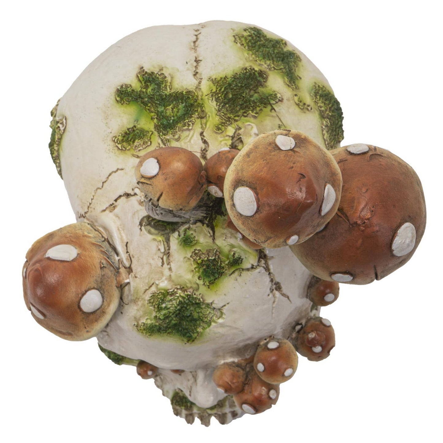 15062 Skull with Mushrooms C/4