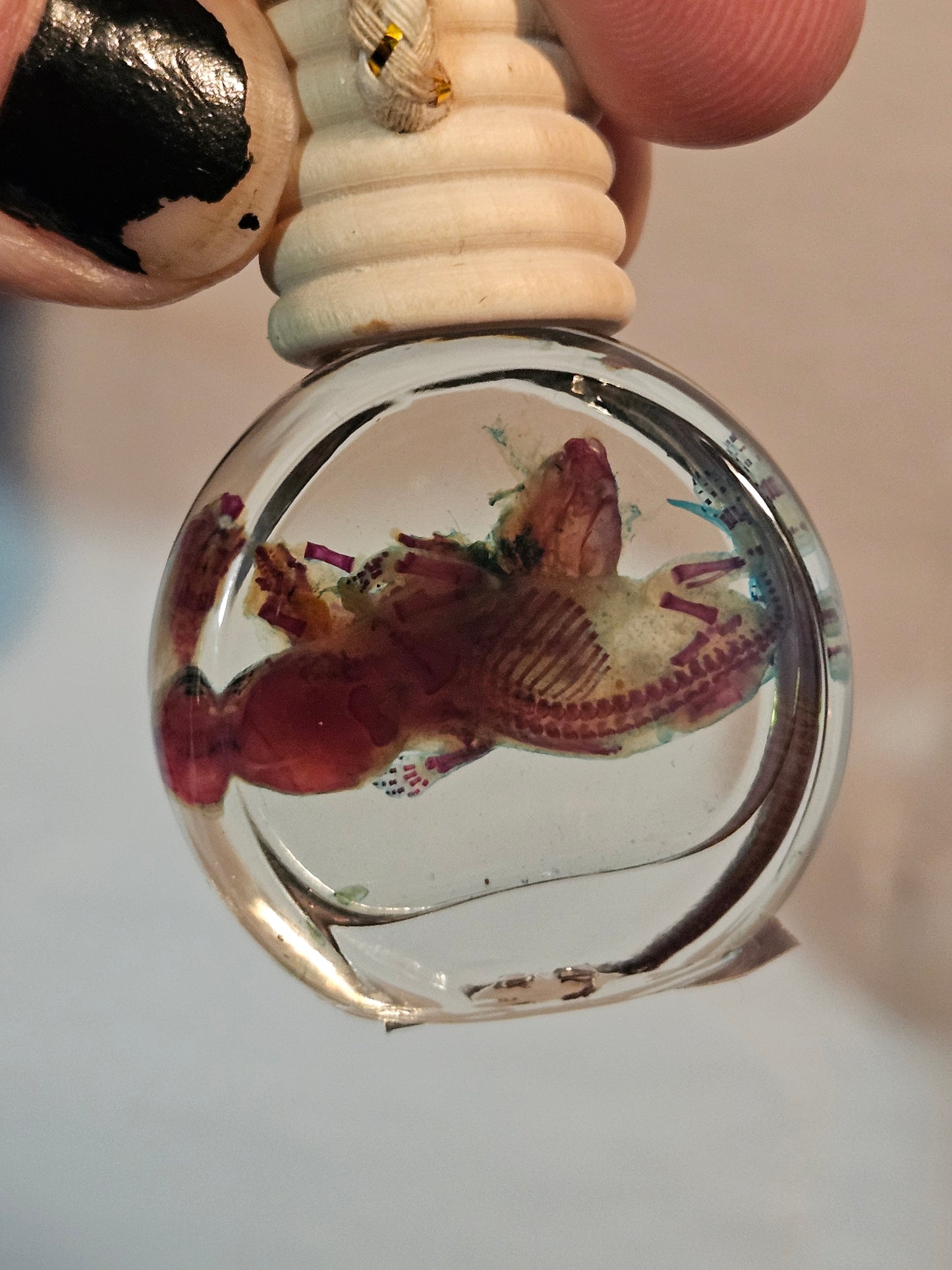 Diaphanized Mice Jar