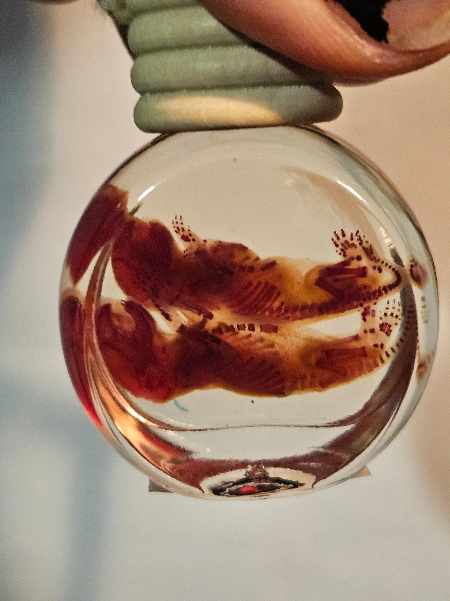 Diaphanized Mice Jar