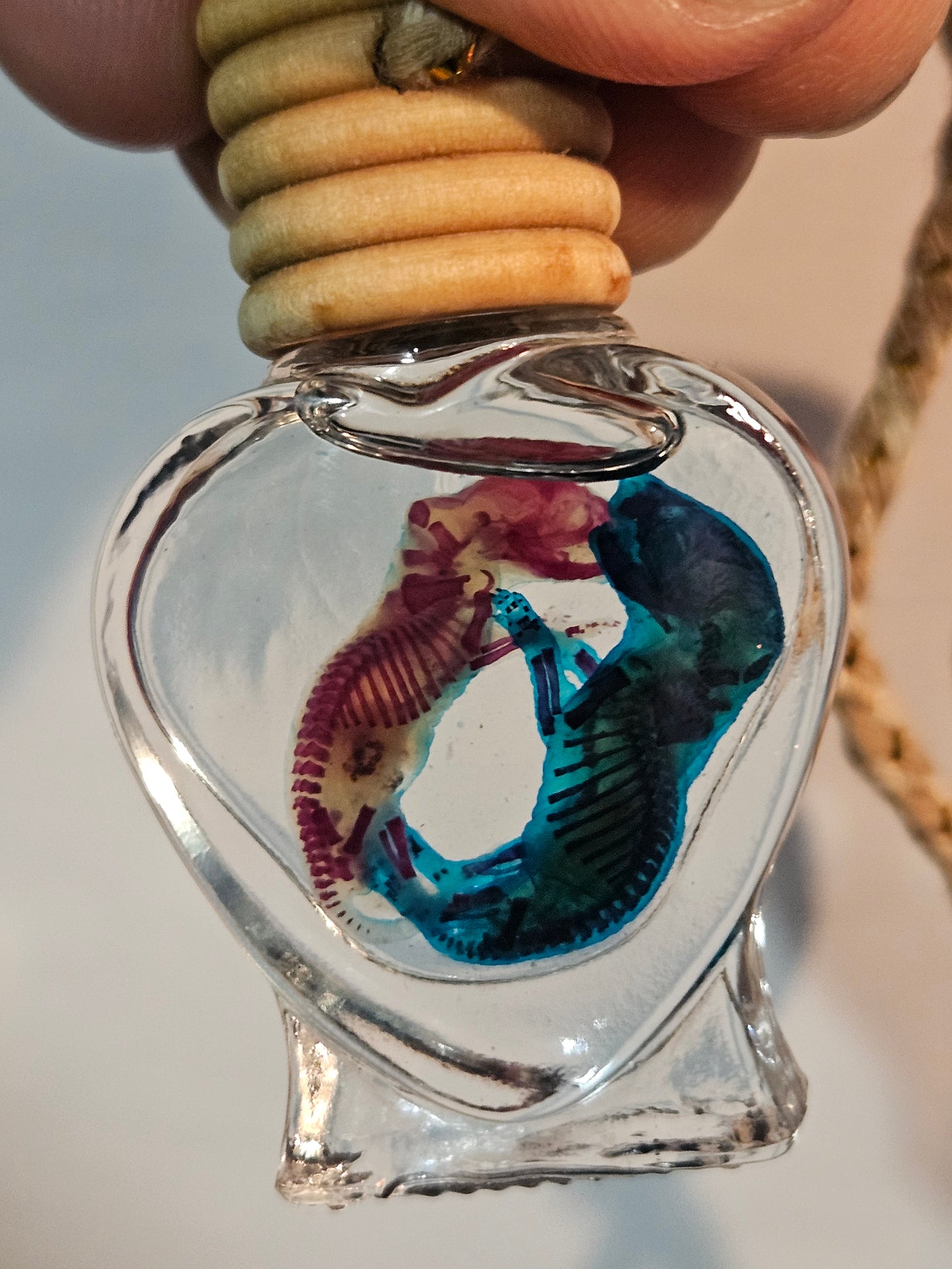Diaphanized Mice Jar