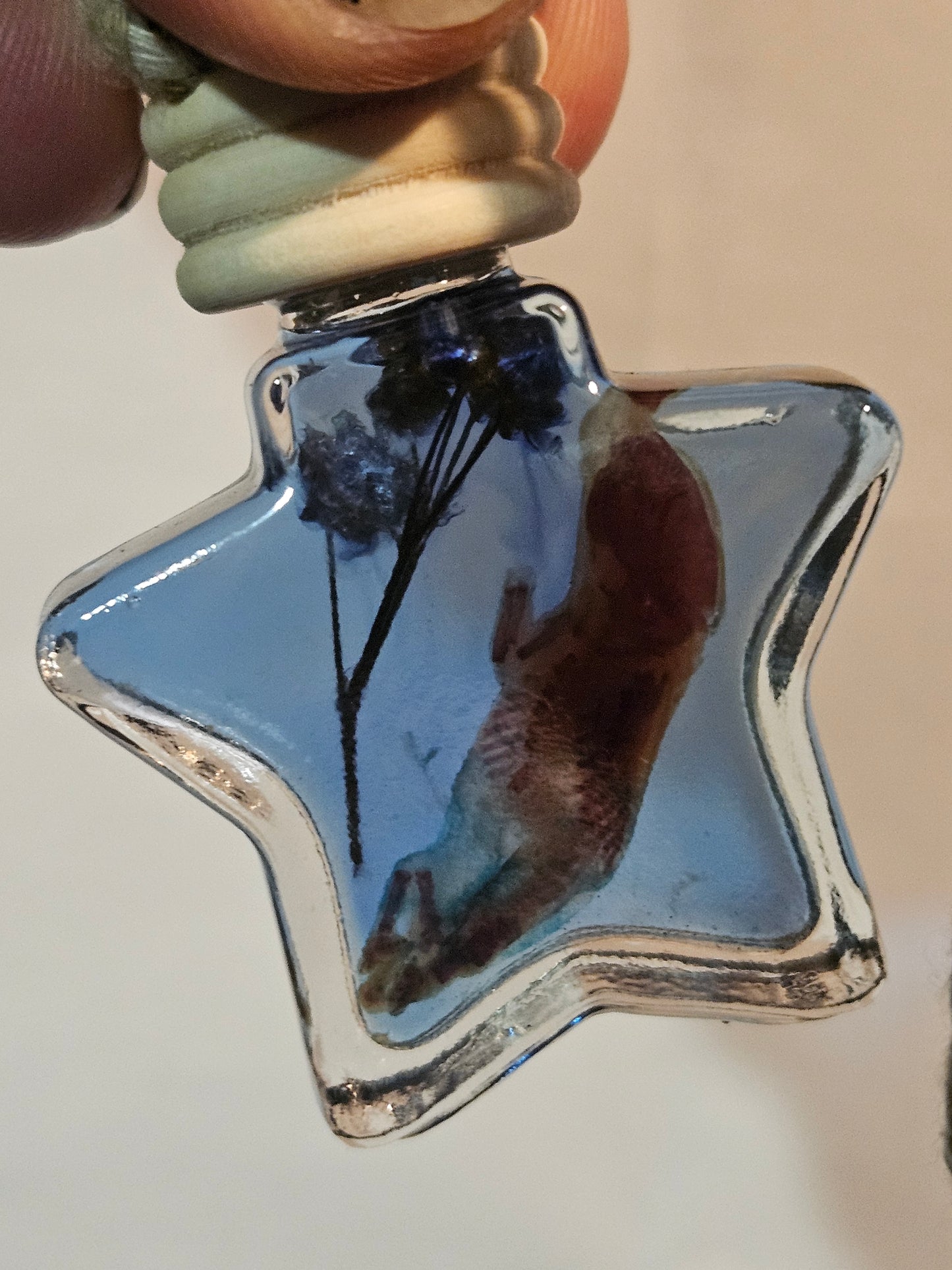 Diaphanized Mice Jar