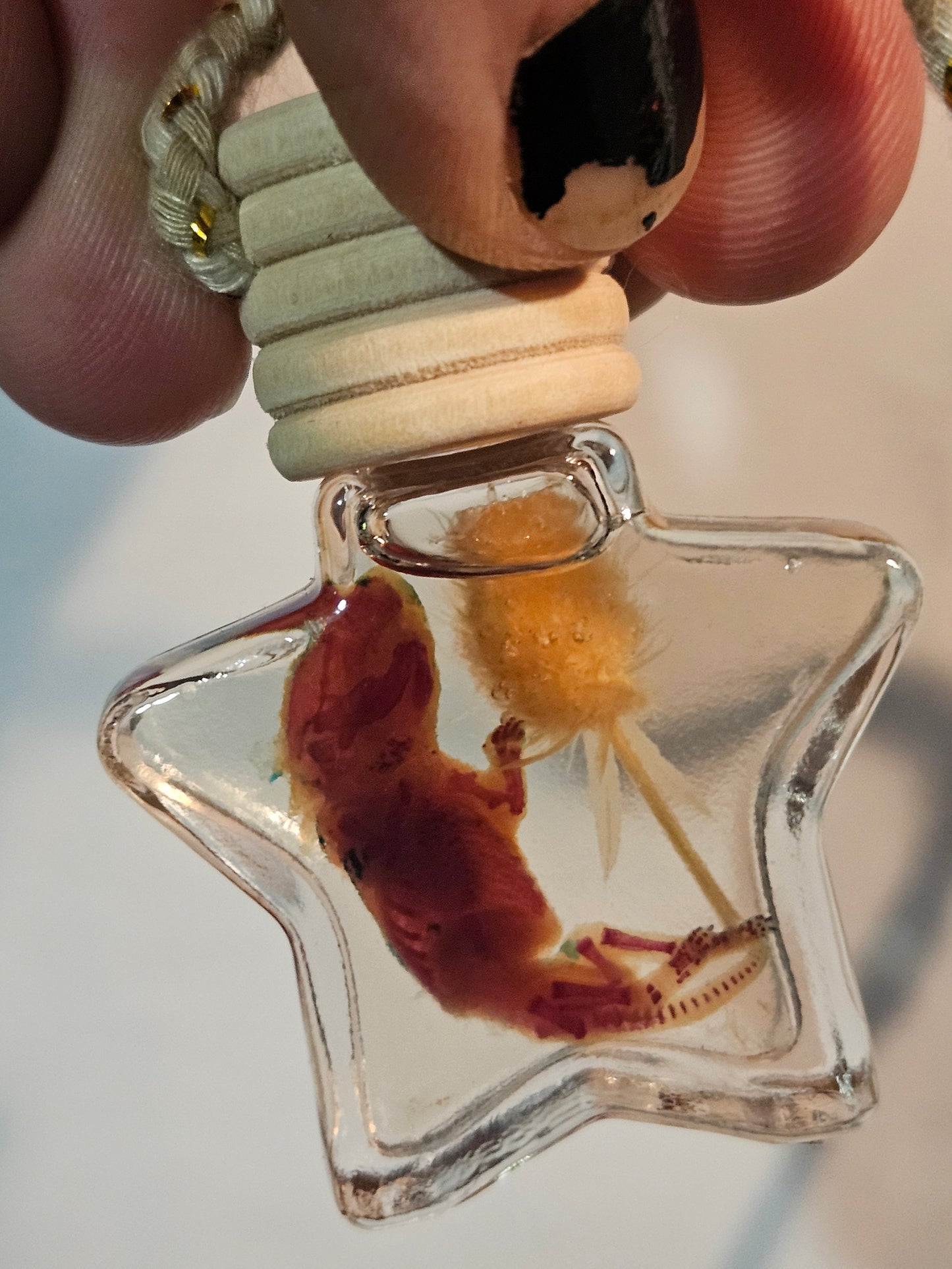 Diaphanized Mice Jar