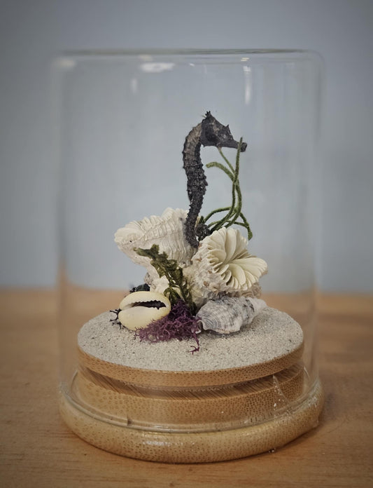 Seahorse Marine Themed Jar #2