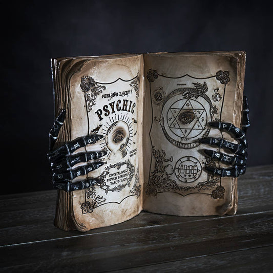 14390 Psychic Book Decoration