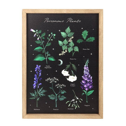Poisonous Plants Gothic Botanical Framed Wall Art Print