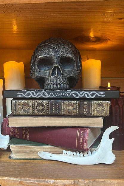 Medusa Journal