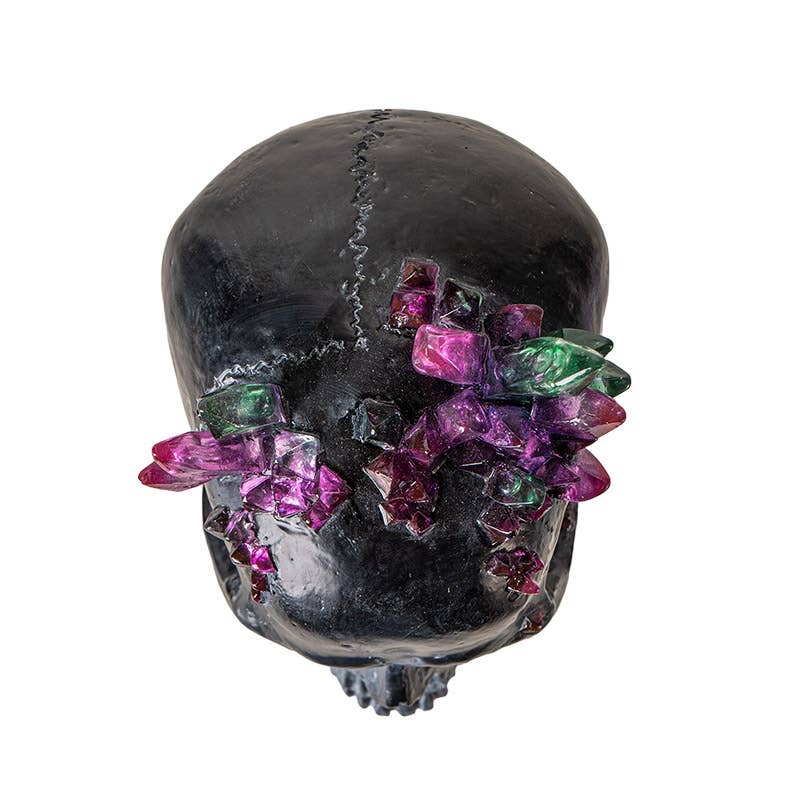 Black Skull with Crystals