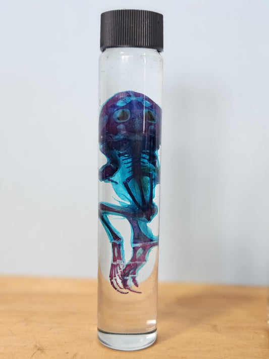 Diaphonized Frog
