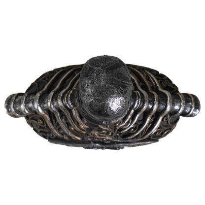 13718 Powered Bones Poison Bottle