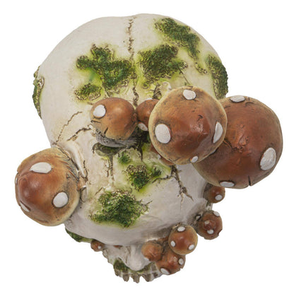 15062 Skull with Mushrooms C/4