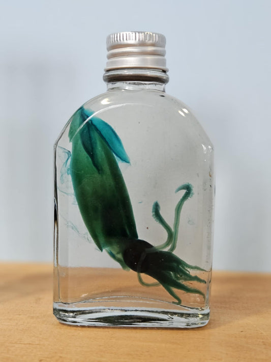 Diaphonized Squid