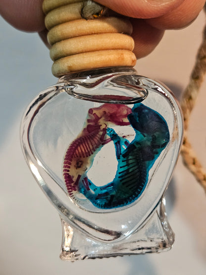 Diaphanized Mice Jar